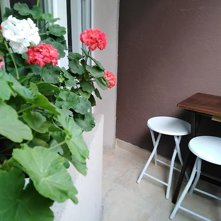 дом крумови Apartamento *